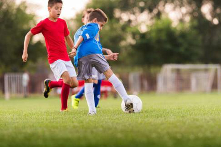 1637633206552289.png 2.png